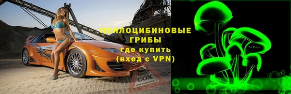 ГАЛЛЮЦИНОГЕННЫЕ ГРИБЫ Балахна