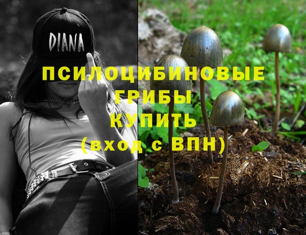дмт Аркадак