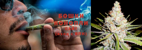 ГАЛЛЮЦИНОГЕННЫЕ ГРИБЫ Балахна
