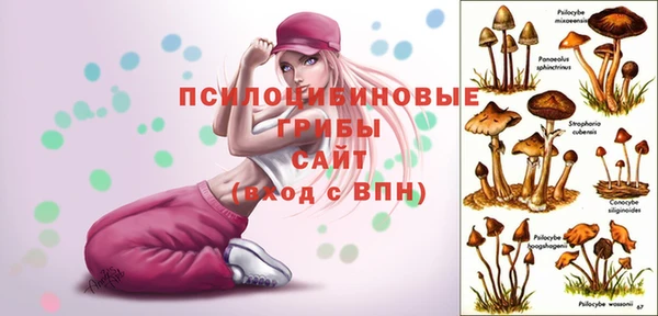 ГАЛЛЮЦИНОГЕННЫЕ ГРИБЫ Балахна